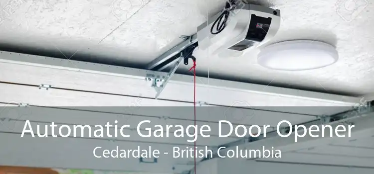 Automatic Garage Door Opener Cedardale - British Columbia