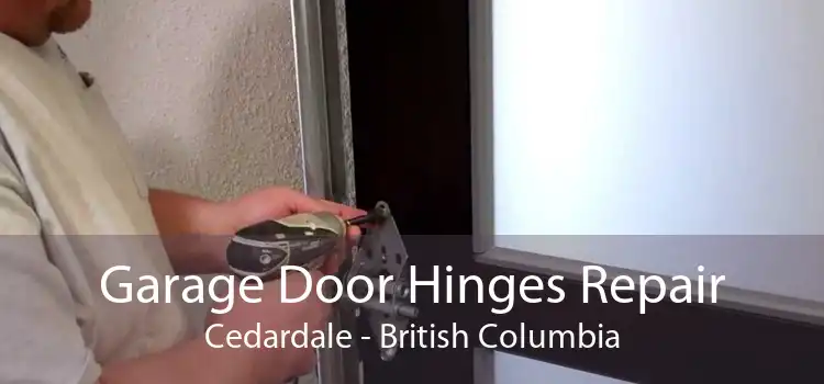 Garage Door Hinges Repair Cedardale - British Columbia