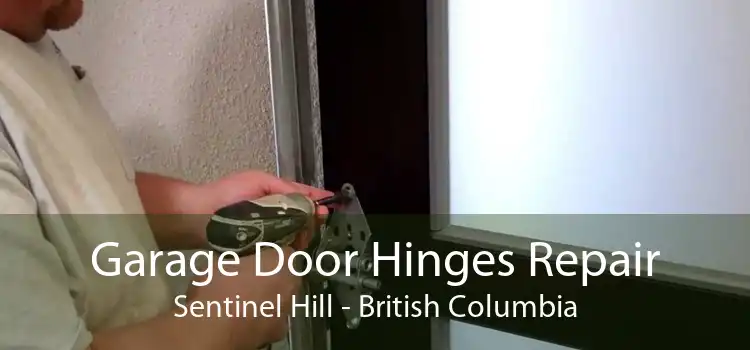 Garage Door Hinges Repair Sentinel Hill - British Columbia