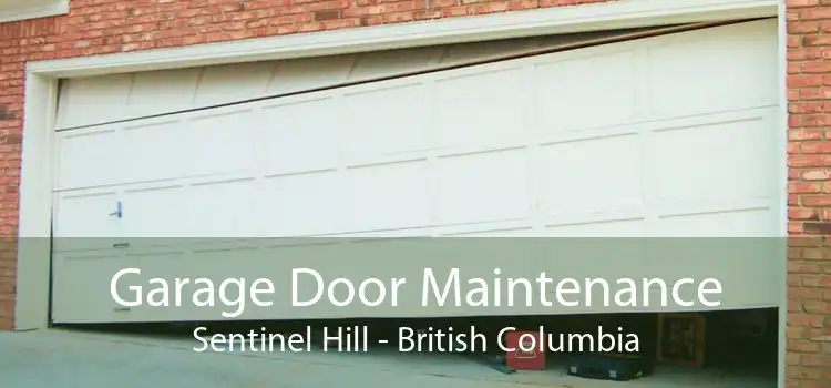 Garage Door Maintenance Sentinel Hill - British Columbia