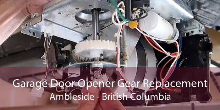 Garage Door Opener Gear Replacement Ambleside - British Columbia