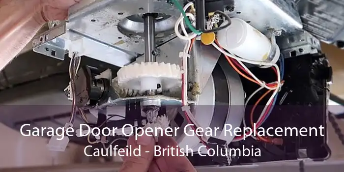 Garage Door Opener Gear Replacement Caulfeild - British Columbia
