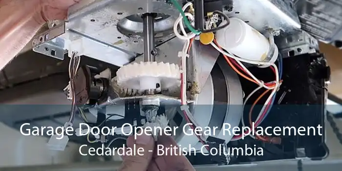 Garage Door Opener Gear Replacement Cedardale - British Columbia