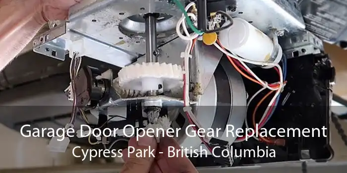 Garage Door Opener Gear Replacement Cypress Park - British Columbia