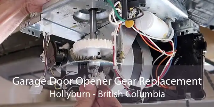 Garage Door Opener Gear Replacement Hollyburn - British Columbia
