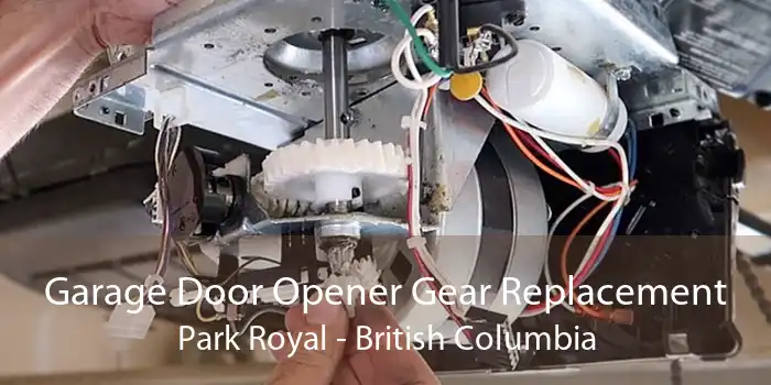 Garage Door Opener Gear Replacement Park Royal - British Columbia