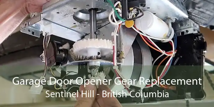 Garage Door Opener Gear Replacement Sentinel Hill - British Columbia