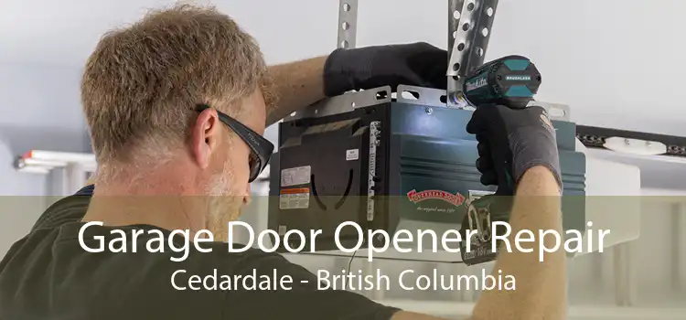 Garage Door Opener Repair Cedardale - British Columbia