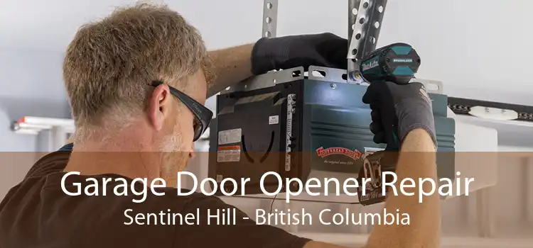 Garage Door Opener Repair Sentinel Hill - British Columbia