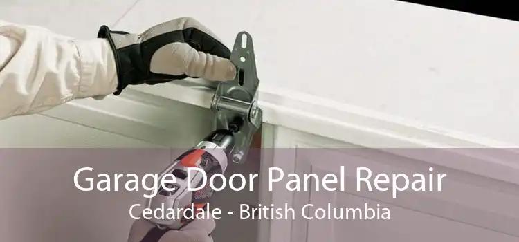 Garage Door Panel Repair Cedardale - British Columbia