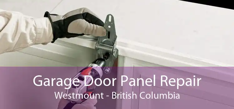Garage Door Panel Repair Westmount - British Columbia