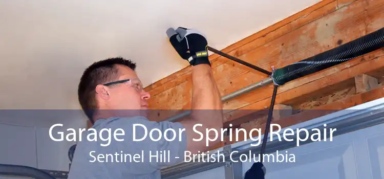 Garage Door Spring Repair Sentinel Hill - British Columbia