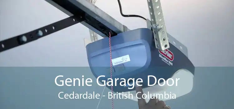 Genie Garage Door Cedardale - British Columbia