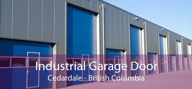 Industrial Garage Door Cedardale - British Columbia