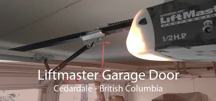 Liftmaster Garage Door Cedardale - British Columbia