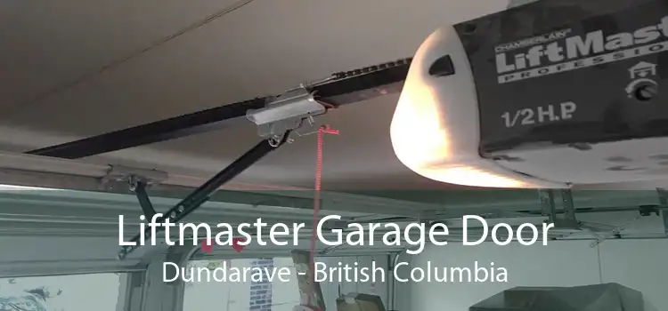 Liftmaster Garage Door Dundarave - British Columbia