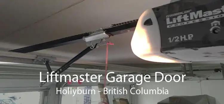 Liftmaster Garage Door Hollyburn - British Columbia