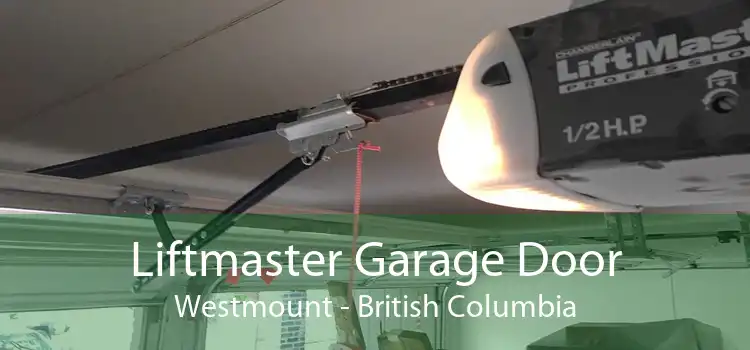 Liftmaster Garage Door Westmount - British Columbia