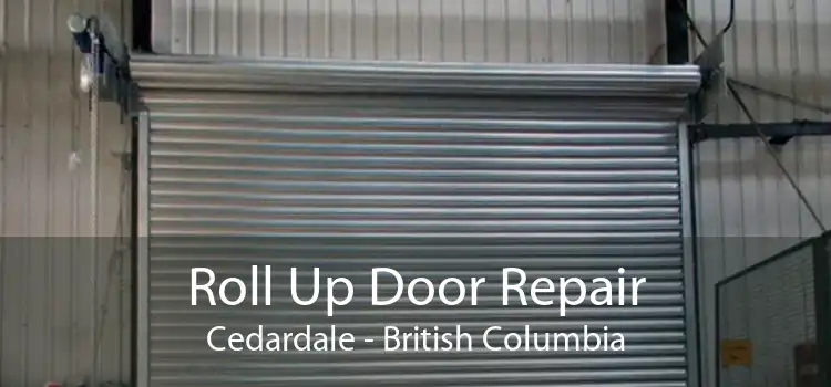 Roll Up Door Repair Cedardale - British Columbia