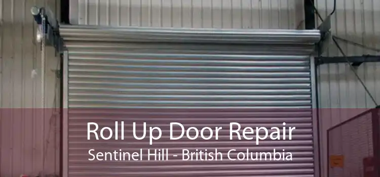 Roll Up Door Repair Sentinel Hill - British Columbia